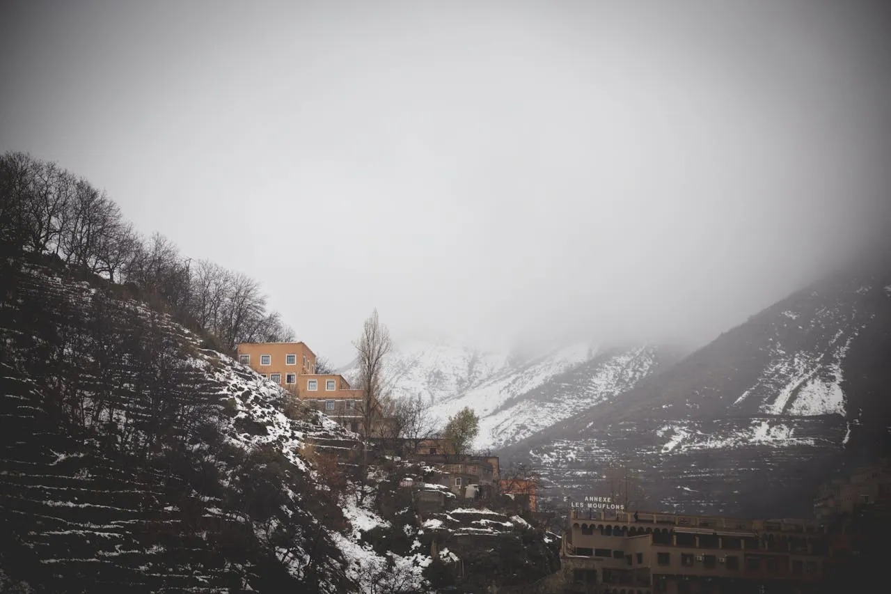 Vedere exterioară Pensiunea Harmonia
